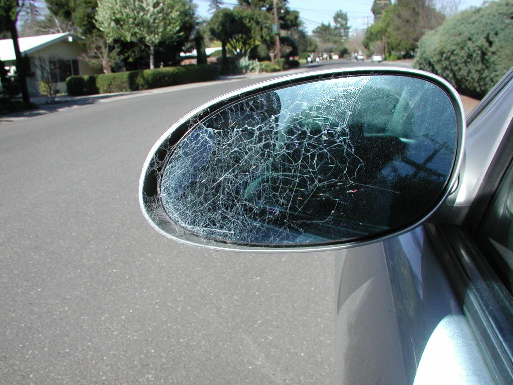 Imagine A SPIDER WEB on the rear view mirror of your car!